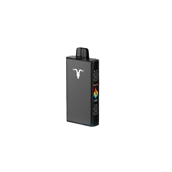 IGNITE V250 BLACK ICY MINT